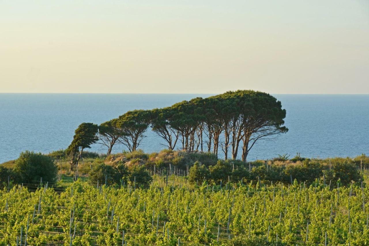 Tenuta Rasocolmo Messina Luaran gambar